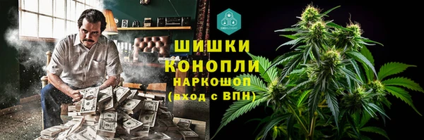 мдпв Верхний Тагил