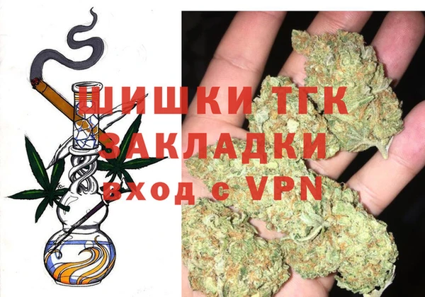 мдпв Верхний Тагил