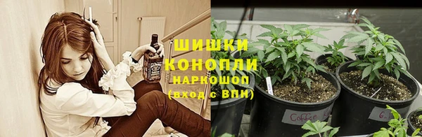 мдпв Верхний Тагил