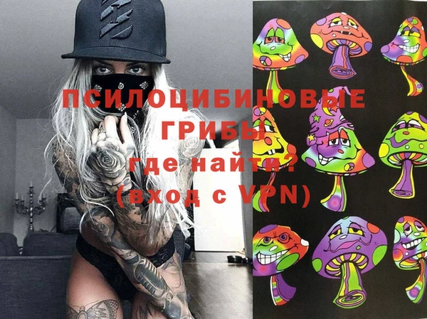 мдпв Верхний Тагил