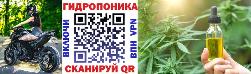 Каннабис OG Kush  Купить где  Сорск 